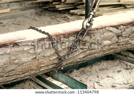 Large industrial Chain on a Log