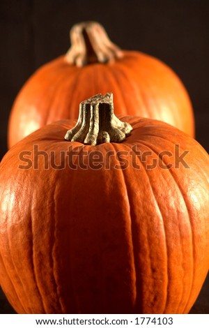 two pumpkins on black