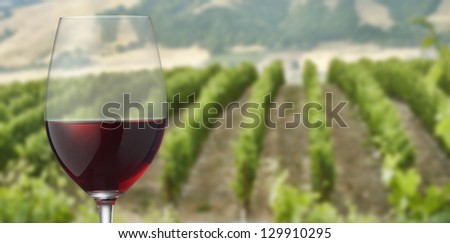 Wine glass with red wine with vineyard background