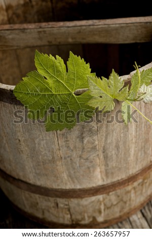 Still life of old wine barrel with wine leaves growing along the edge, weathered and rustic feel