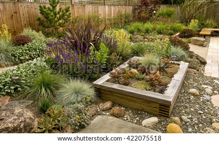 Backyard with fantastic landscaping, patio, fence and raised bed, drought resistant plants