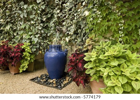 garden water feature, using a large blue pot,surrounded by wall of ivy and potted plants, gravel floor