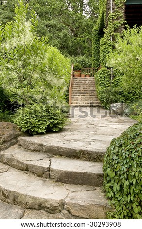 lush foliage surrounds this stone walkway and stairs. beautiful landscaping
