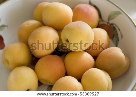 a bowl full of apricots, bowl has fruit painted on it also, natural outdoor lighting