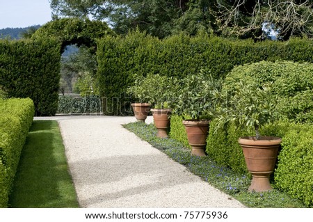 Walkway Plant Ideas