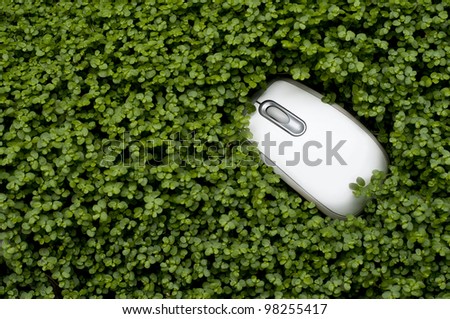Computer mouse sitting in lush green ground cover, lot of room for copy