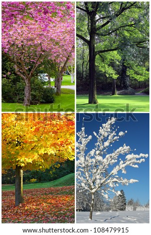 Four Seasons Collage: Spring, Summer, Autumn, Winter.