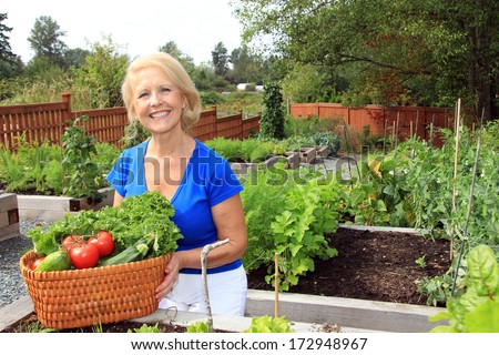 Retired woman in the vegetable garden holding a basket of freshly picked lettuce and tomatoes. Also available in vertical.