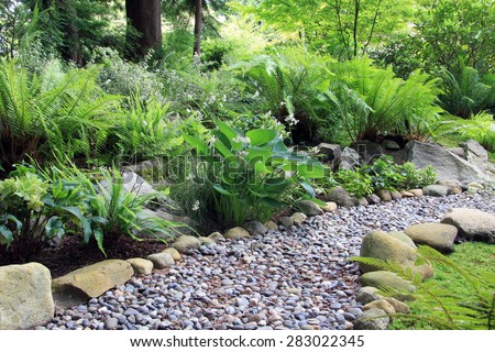 Woodland shade garden path, lined with Hosta and fern.