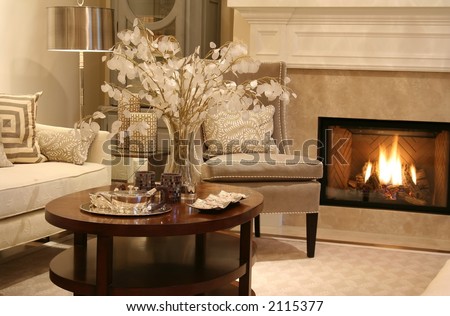 Elegant living room with fireplace on.