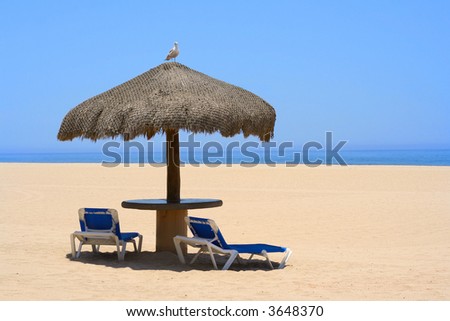 Palapa on a deserted beach, a seagull sitting on top.