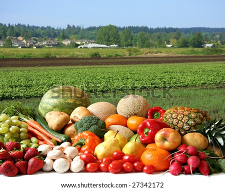 fruit and vegetables. fruit and vegetables,