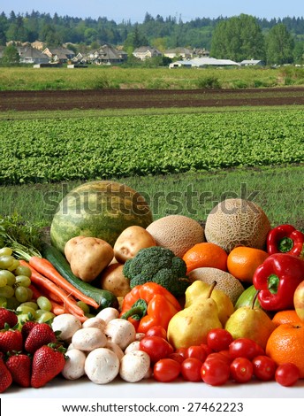 Large variety of fresh fruit and vegetables, water droplets visible at 100% in front of the farmer's field.