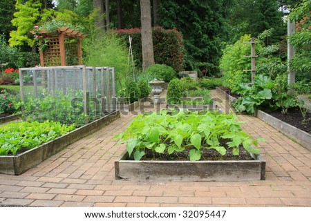 Organic Gardening on Beautiful Backyard Organic Vegetable Garden  Stock Photo 32095447