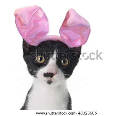 happy easter pictures in black and white. stock photo : Funny lack and