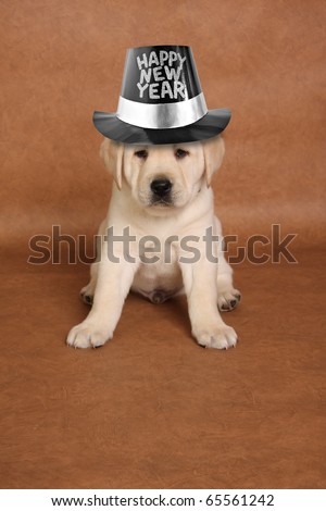 funny happy new year images. stock photo : Happy New#39;s year