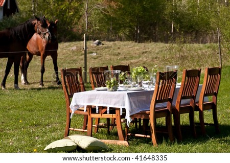 Nice outdoor table setting on the backyard on a summer day