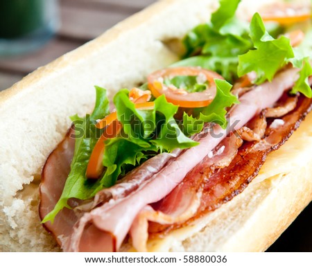 Nice Sandwich