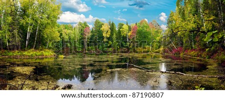 Panorama of the autumn woods and lakes