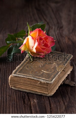 wet orange rose on old brown wooden table with old bible book
