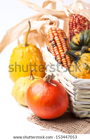Autumn mini pumpkins and corn in basket over white