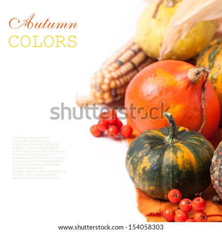 Autumn mini pumpkins and corn over white with sample text