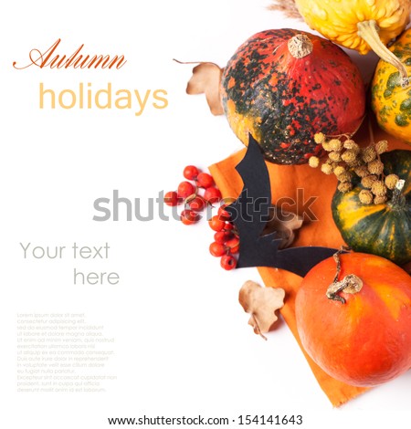 Autumn mini pumpkins, berries and black paper bat over white with sample text