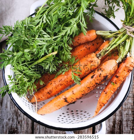 Bunch of fresh carrot with soil in white colander over wooden table. Top view. Square image