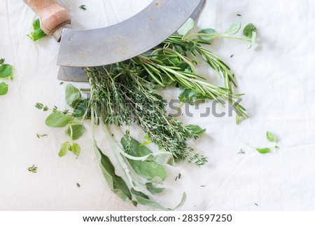 Assortment of fresh herbs thyme, rosemary, sage and oregano with vintage herb's cutter on white textile as background. Natural day light. Top view.