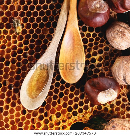 Wooden spoons with honey, chestnuts and walnuts over honeycombs as background. Top view. Square image.