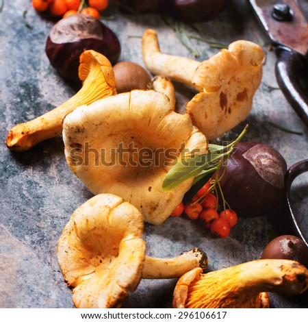 Chanterelle mushrooms, nuts and berries with vintage scissors and thread over tin surface. Square image with selective focus