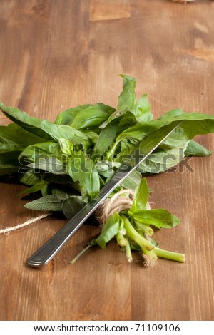 Basil bunch with knife on wooden table