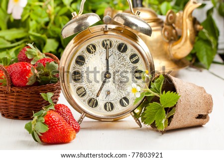 Old golden alarm-clock, old teapot and fresh strawberries on white table