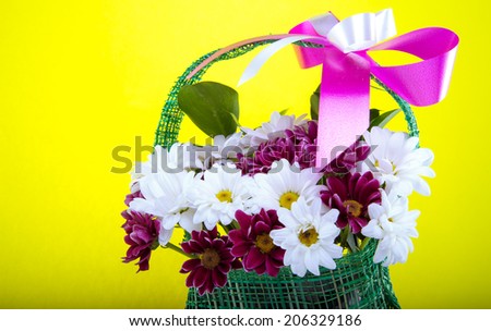 Beautiful bright floral bouquet on the color background