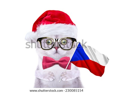 Beautiful British cat with flag of Czech Republic goes on Christmas travel. Cap of Santa Claus. New Year\'s holidays