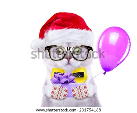 Smart and beautiful cat in a Christmas costume holding a present. Gift Box. New Year\'s holidays