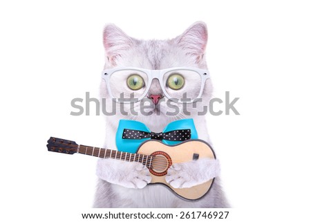 Smart beautiful british cat with a guitar. Funny animals. Trendy cat dressed in beautiful clothes