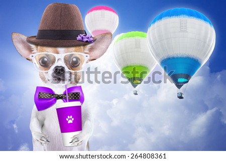 Smart beautiful dog chihuahua with a cup. Funny animals. Fashionable dog dressed in beautiful clothes
