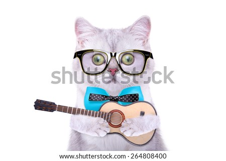 Smart beautiful british cat with a guitar. Funny animals. Trendy cat dressed in beautiful clothes