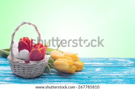 Gentle colored tulips in a basket. Spring flowers. Wooden board rustic. Beautiful light background