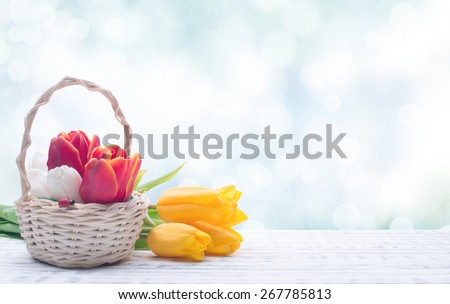 Gentle colored tulips in a basket. Spring flowers. Wooden board rustic. Beautiful light background
