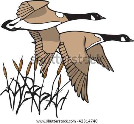 Cartoon Canadian Goose