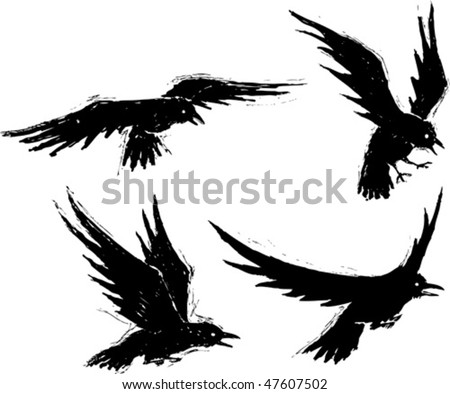 illustrated crow