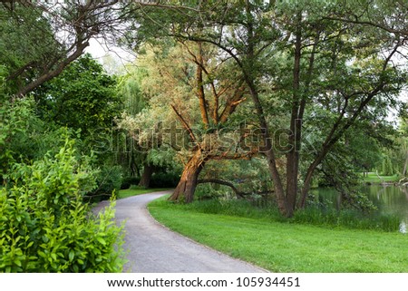Beautiful road in the park at summer