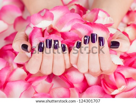 Woman with beautiful manicured fashion nails holding a handful of pink rose petals