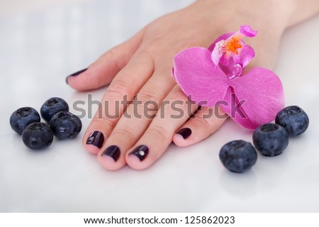 Fresh pink orchids surrounding the hand of a woman with beautiful purple nails