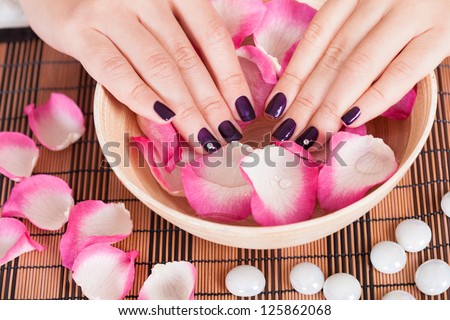 Female hands with manicured fashion nails with purple varnish in a bowl of rose petals and water in a spa beauty treatment concept