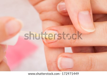 Close-up Of Manicurist Holding Woman\'s Hand Applying Nail Varnish
