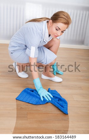 Portrait Of Young Maid Cleaning Hardwood Floor With Cloth