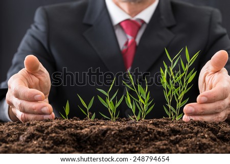 Close-up Photo Of A Businessman Protecting Plants
